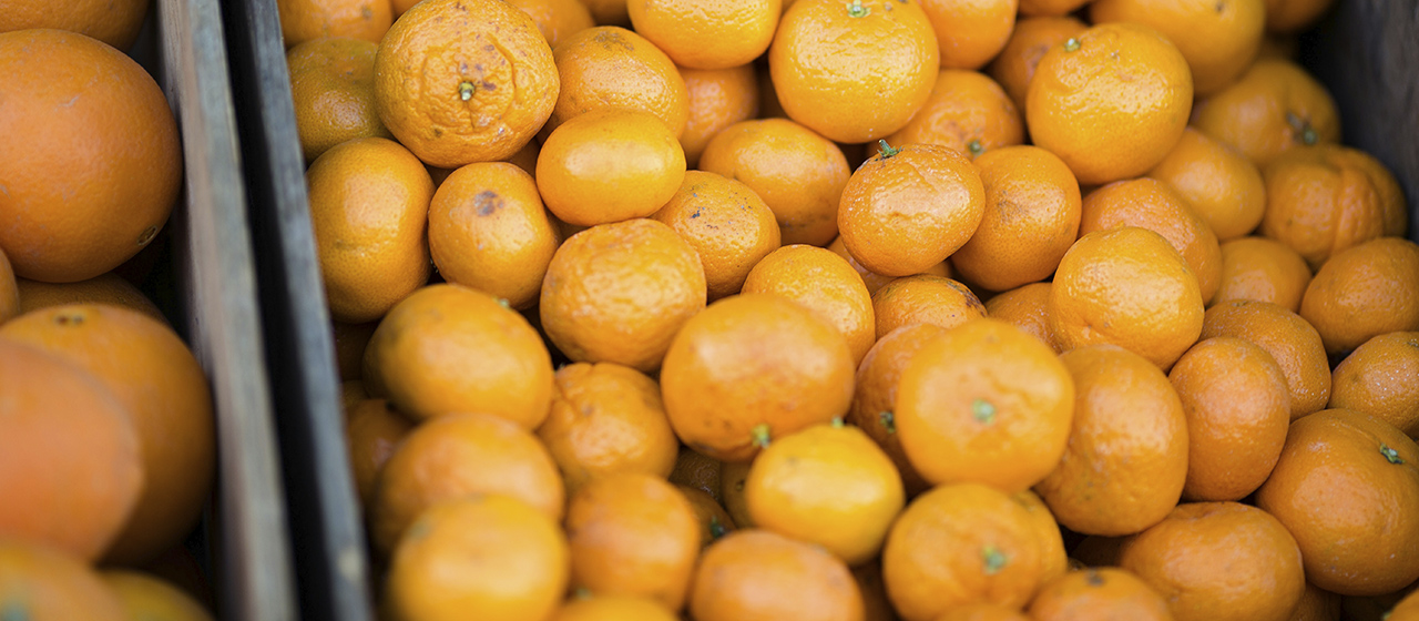 Foto / ejemplo de la comida en San Francisco