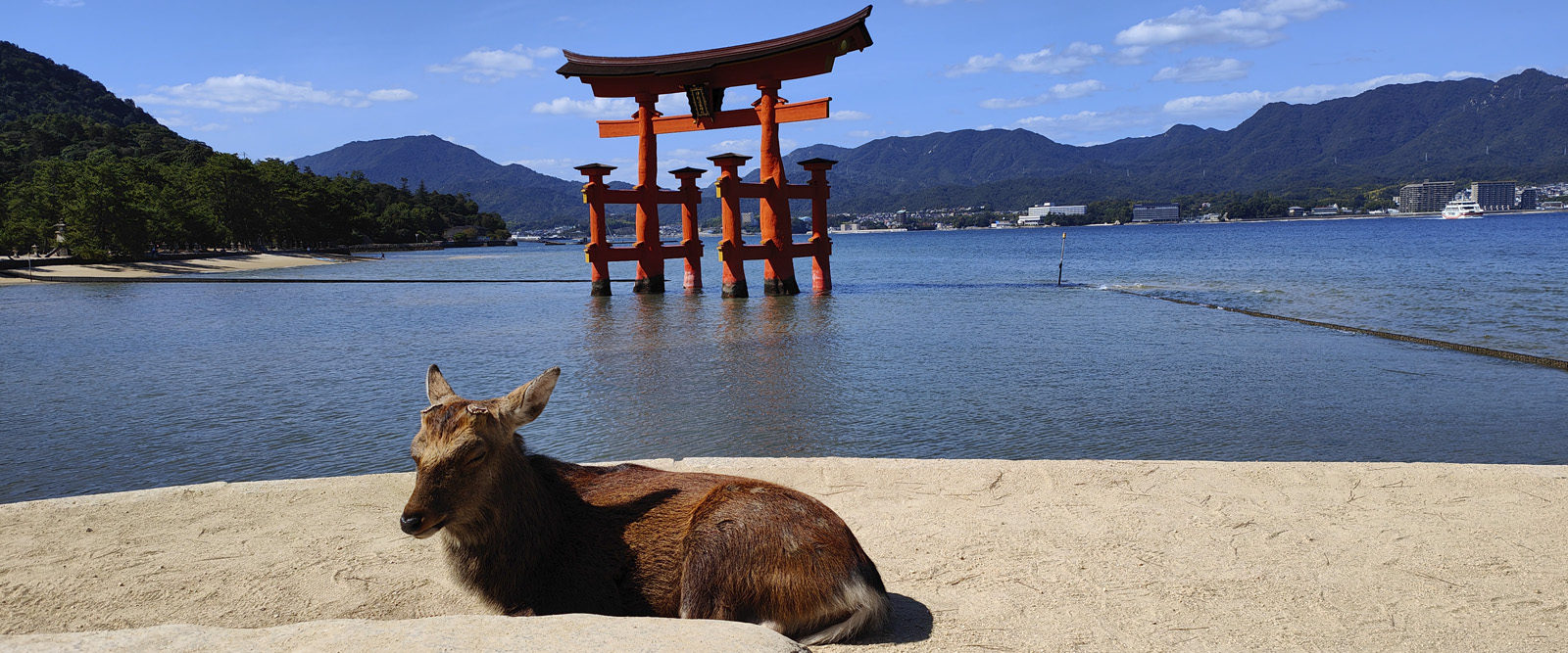 Portada - Especial Japón